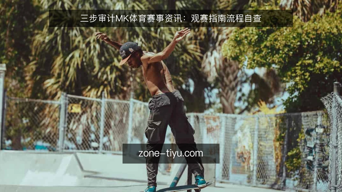 三步审计MK体育赛事资讯：观赛指南流程自查
