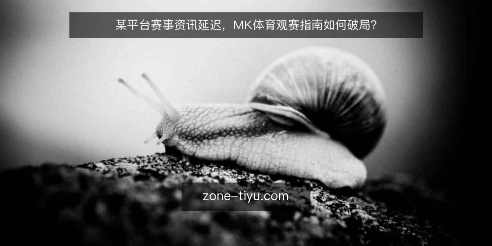 某平台赛事资讯延迟,MK体育观赛指南如何破局? — 场景:赛事资讯延迟如何影响观赛决策? 配图